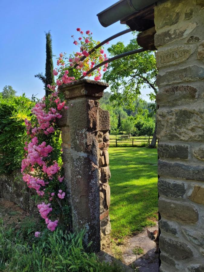 Апартаменты La Casa Nel Chianti Греве-ин-Кьянти Экстерьер фото