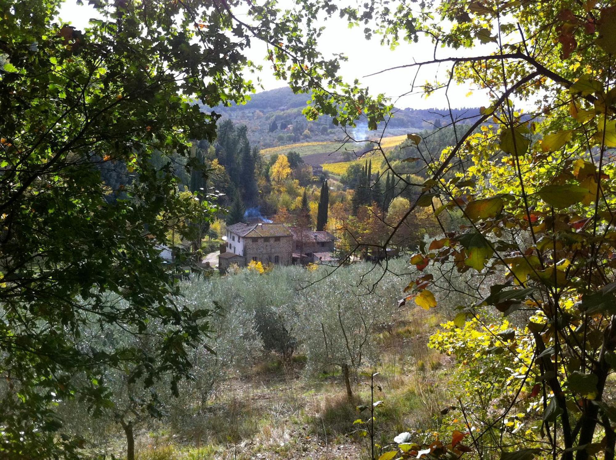 Апартаменты La Casa Nel Chianti Греве-ин-Кьянти Экстерьер фото