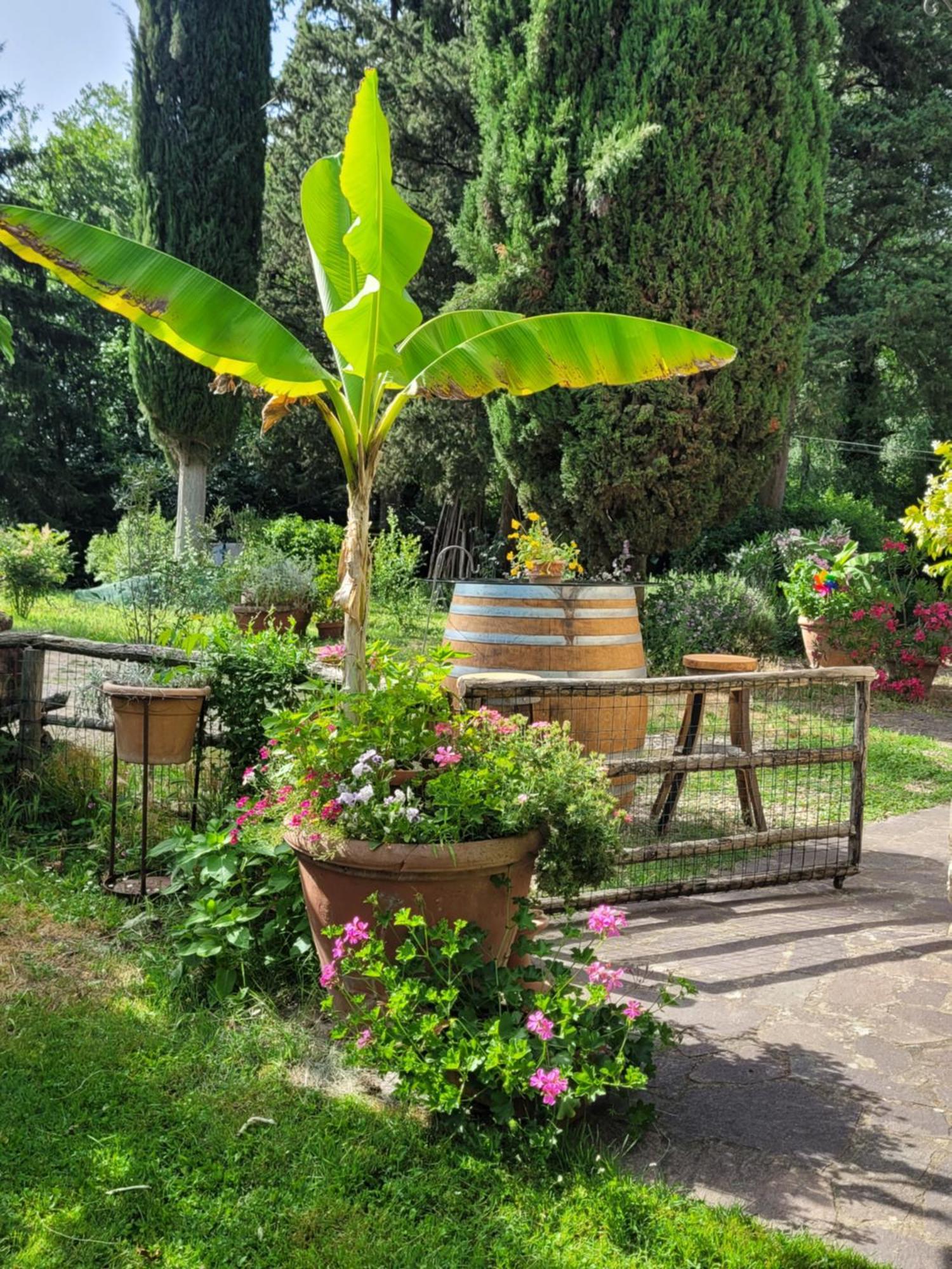 Апартаменты La Casa Nel Chianti Греве-ин-Кьянти Экстерьер фото