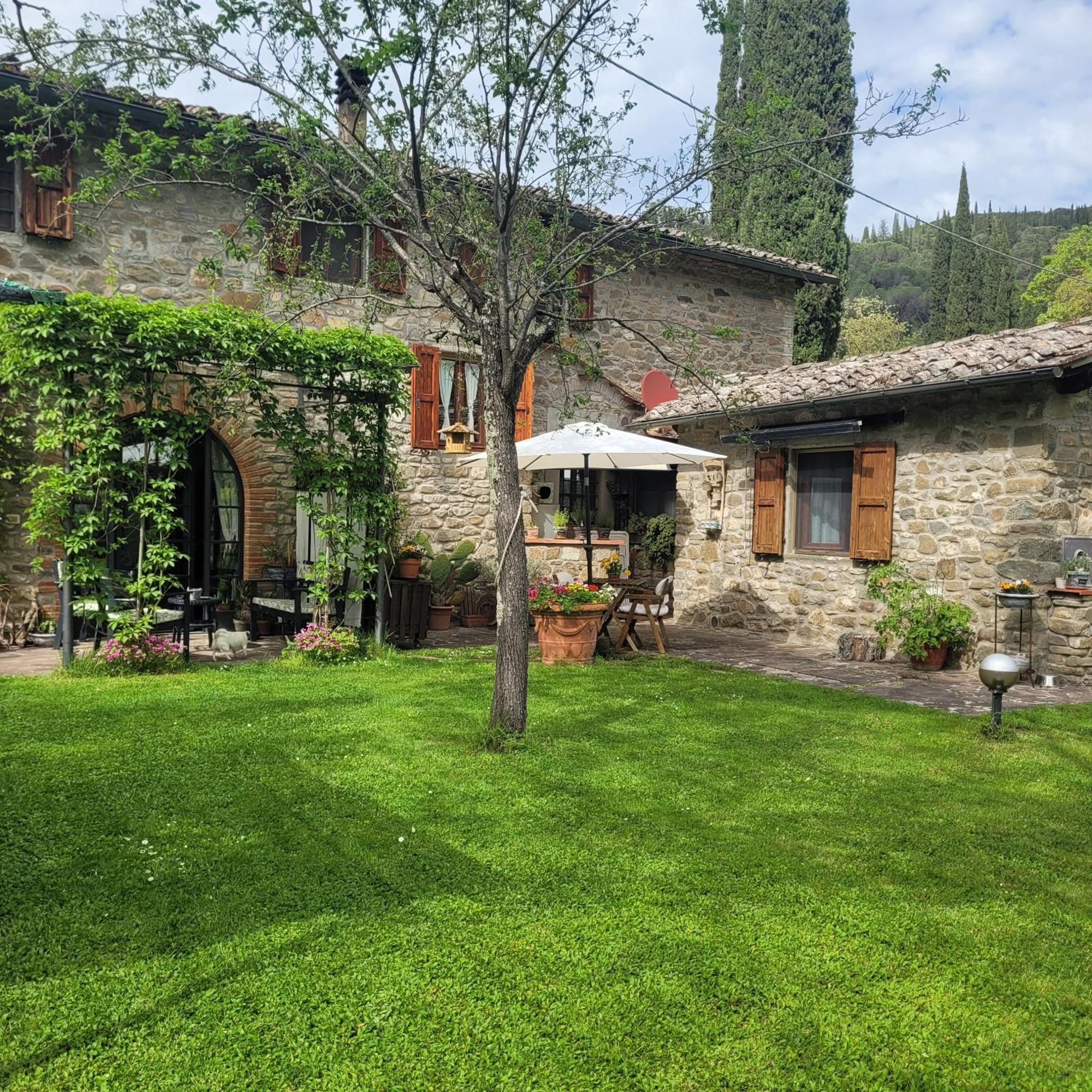 Апартаменты La Casa Nel Chianti Греве-ин-Кьянти Экстерьер фото