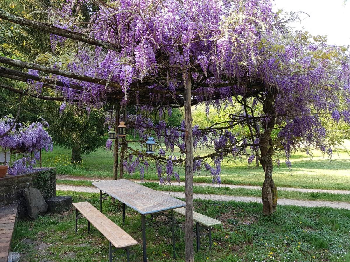 Апартаменты La Casa Nel Chianti Греве-ин-Кьянти Экстерьер фото